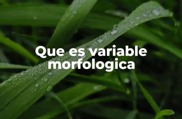Que es Variable Morfologica