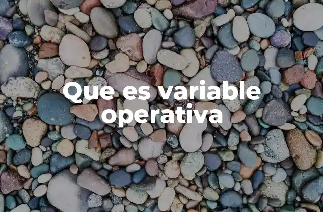 Que es Variable Operativa