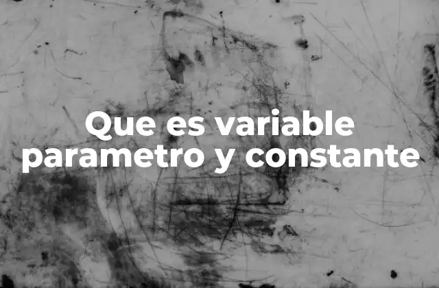 Que es Variable Parametro y Constante