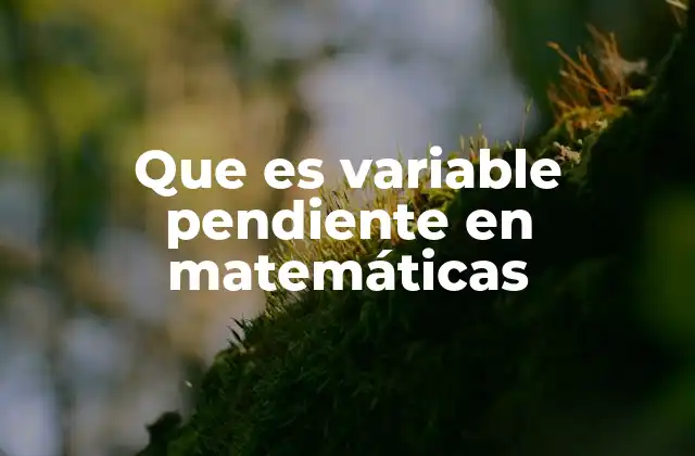 Que es Variable Pendiente en Matemáticas