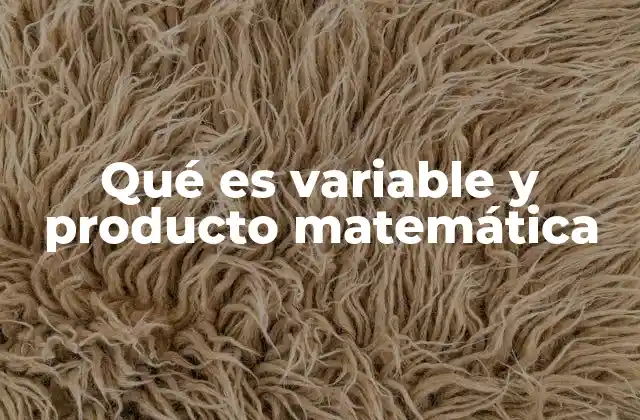 Qué es Variable y Producto Matemática