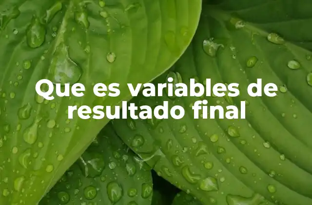 Que es Variables de Resultado Final