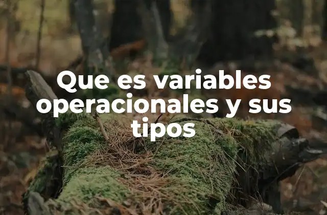 Que es Variables Operacionales y Sus Tipos