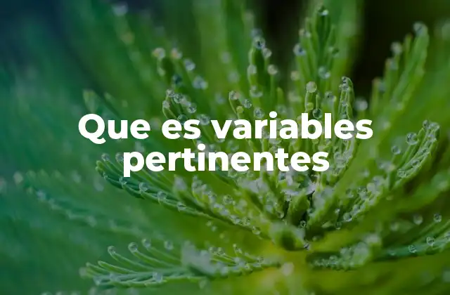 Que es Variables Pertinentes