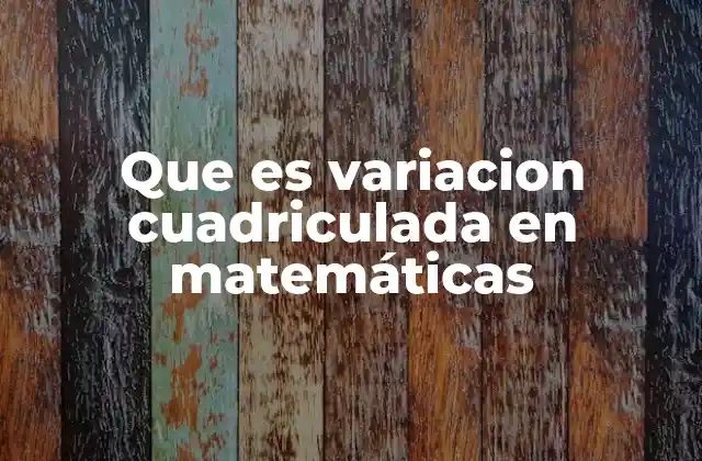 Que es Variacion Cuadriculada en Matemáticas