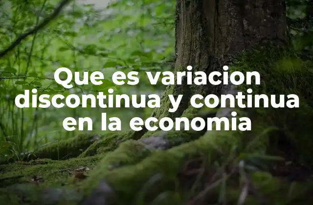 Que es Variacion Discontinua y Continua en la Economia