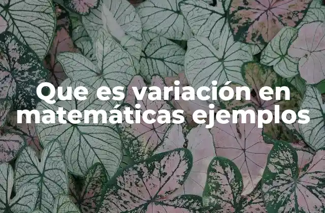 Que es Variación en Matemáticas Ejemplos 2 La importancia de estudiar cómo cambian las magnitudes