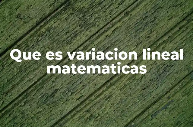 Que es Variacion Lineal Matematicas