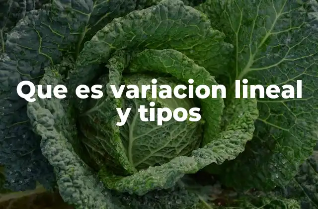 Que es Variacion Lineal y Tipos