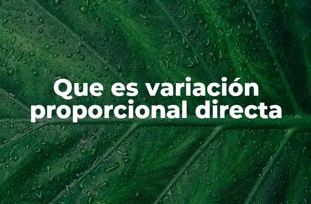 Que es Variación Proporcional Directa 2 La relación entre magnitudes en la vida cotidiana