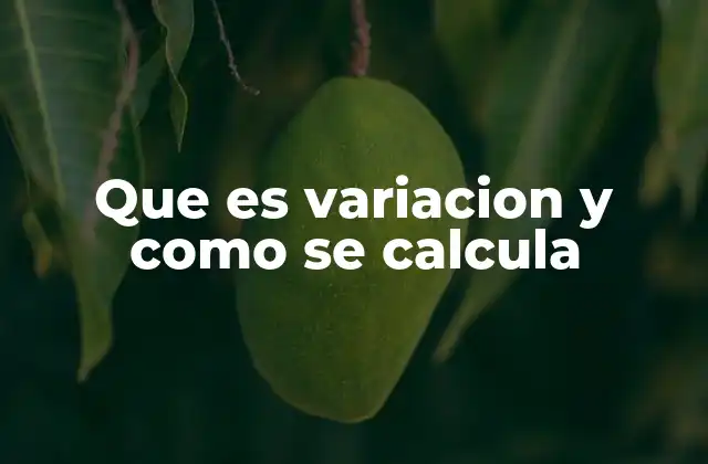 Que es Variacion y como Se Calcula