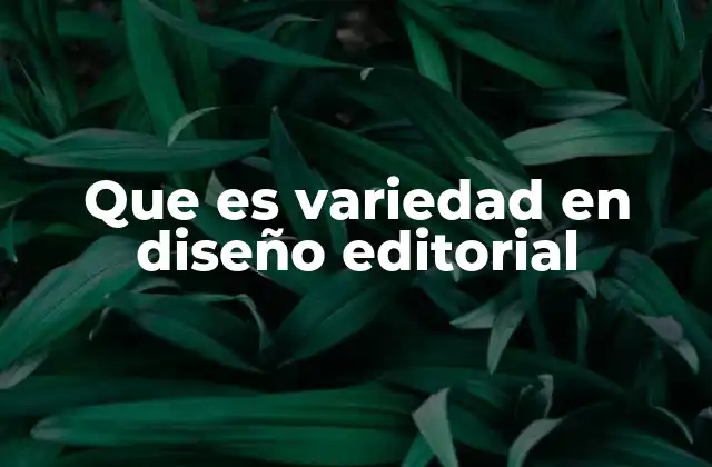 La importancia de la diversidad visual en documentos editoriales
