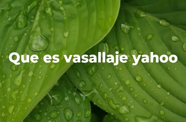 La evolución de Yahoo! y sus alianzas estratégicas