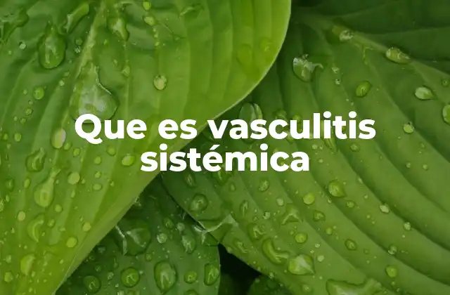 Que es Vasculitis Sistémica