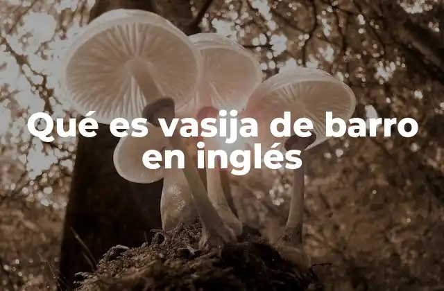 Qué es Vasija de Barro en Inglés