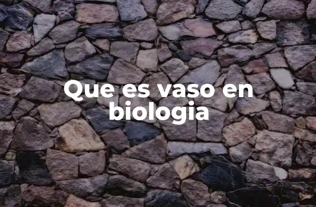 Que es Vaso en Biologia 2 Vasos en el sistema circulatorio de los animales