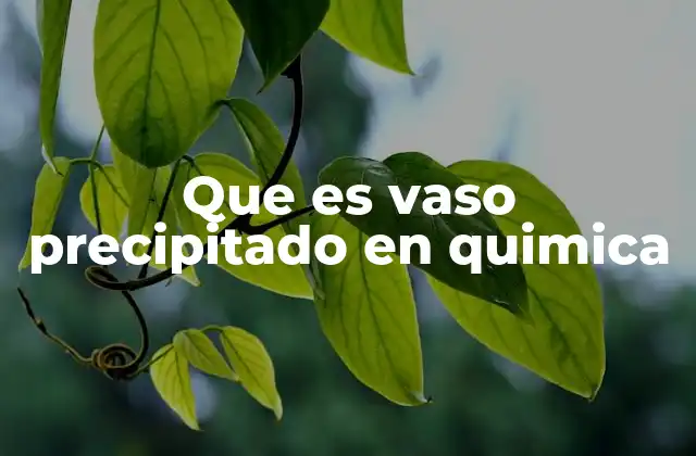 Que es Vaso Precipitado en Quimica