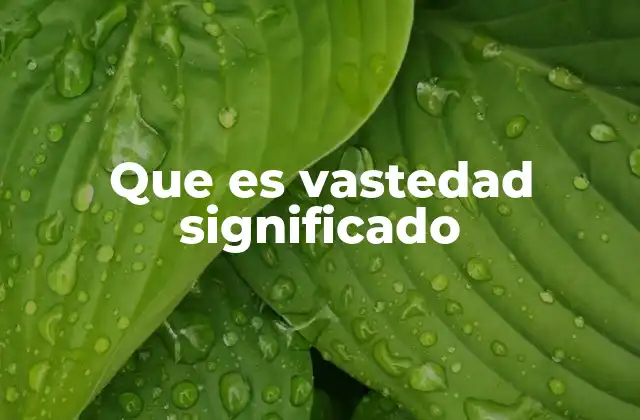Que es Vastedad Significado 2 La vastedad como representación de lo inmenso
