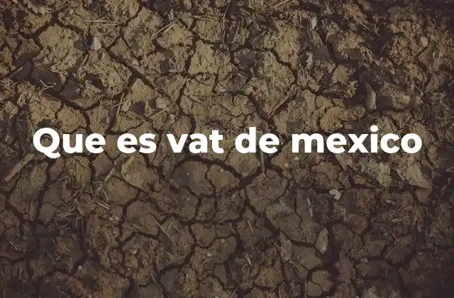 Que es Vat de Mexico