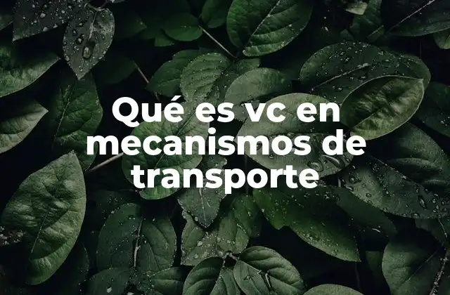 Qué es Vc en Mecanismos de Transporte