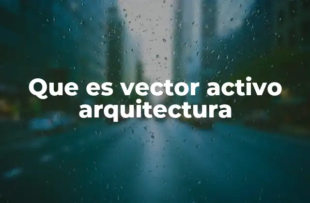 Que es Vector Activo Arquitectura