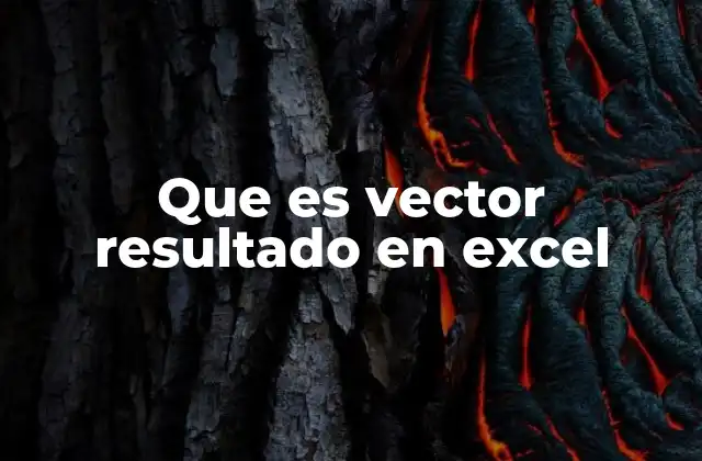 Que es Vector Resultado en Excel 2 Cómo se genera un vector resultado en Excel