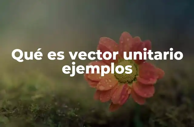 Qué es Vector Unitario Ejemplos