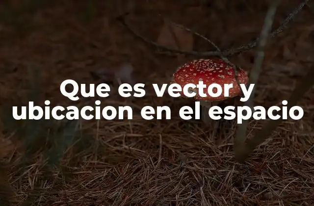 Que es Vector y Ubicacion en el Espacio