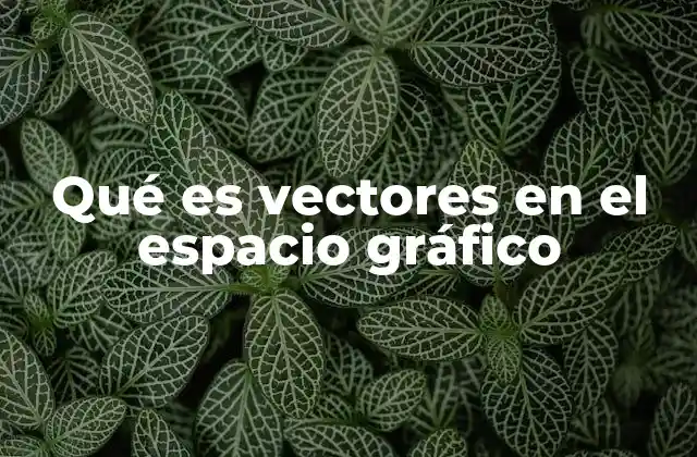 Qué es Vectores en el Espacio Gráfico