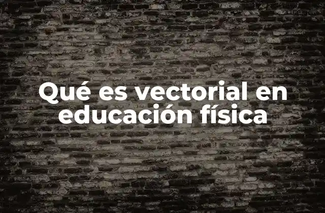 Qué es Vectorial en Educación Física