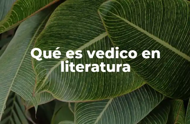 Qué es Vedico en Literatura