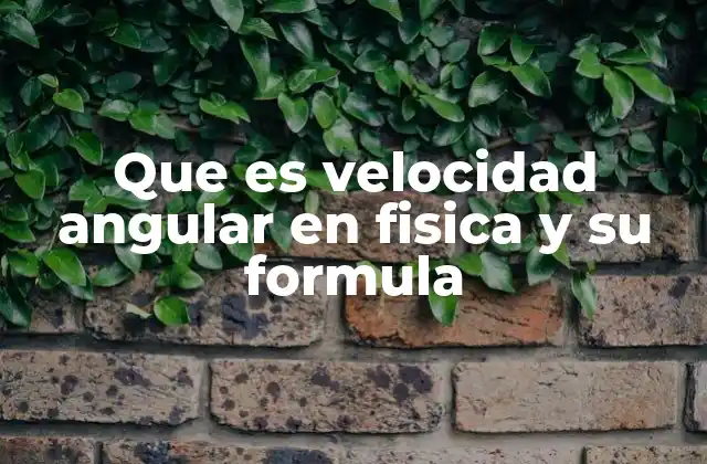 Que es Velocidad Angular en Fisica y Su Formula