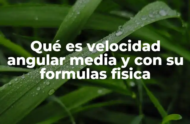 Qué es Velocidad Angular Media y con Su Formulas Fisica