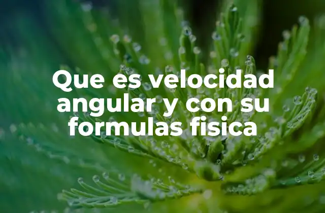 Que es Velocidad Angular y con Su Formulas Fisica 2 Introducción al movimiento rotacional