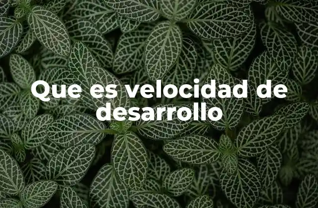 Que es Velocidad de Desarrollo
