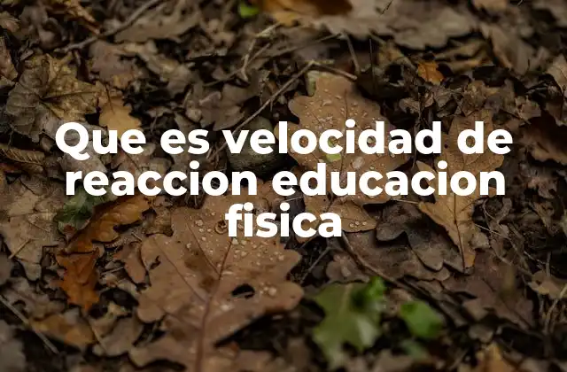 Que es Velocidad de Reaccion Educacion Fisica