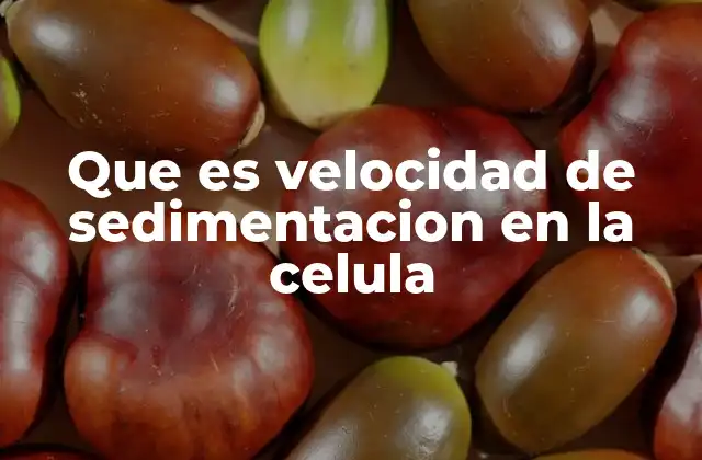 Que es Velocidad de Sedimentacion en la Celula