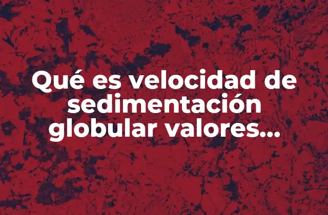 La importancia de los valores normales en la medición de la VSG