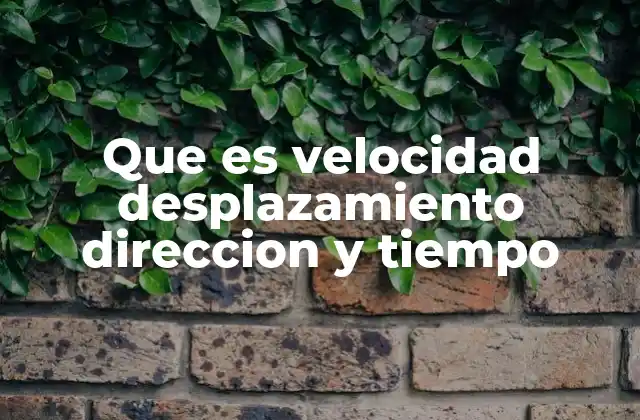 Que es Velocidad Desplazamiento Direccion y Tiempo
