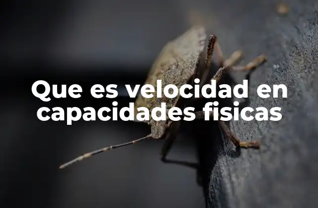 Que es Velocidad en Capacidades Fisicas