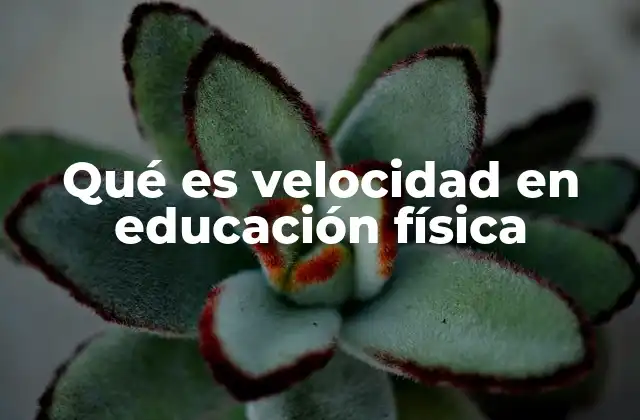 Qué es Velocidad en Educación Física
