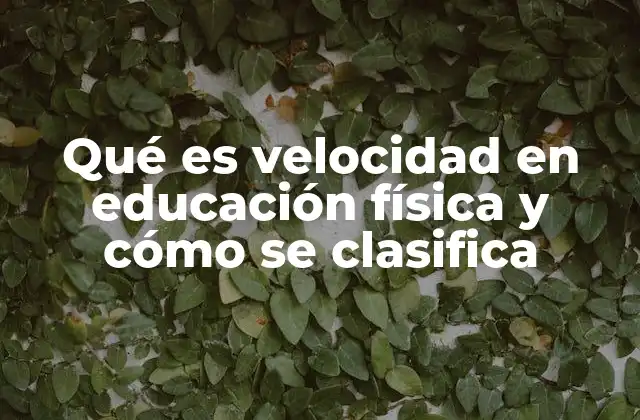 Qué es Velocidad en Educación Física y Cómo Se Clasifica