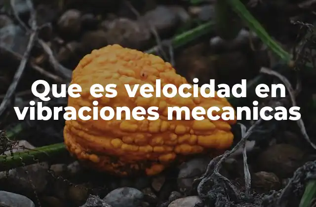 Que es Velocidad en Vibraciones Mecanicas