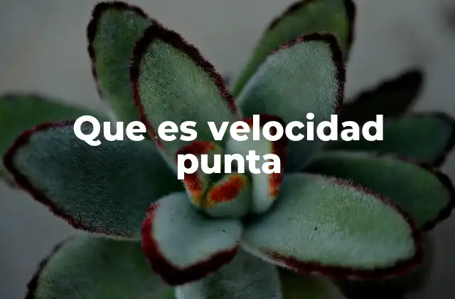 Que es Velocidad Punta