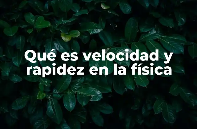 Qué es Velocidad y Rapidez en la Física