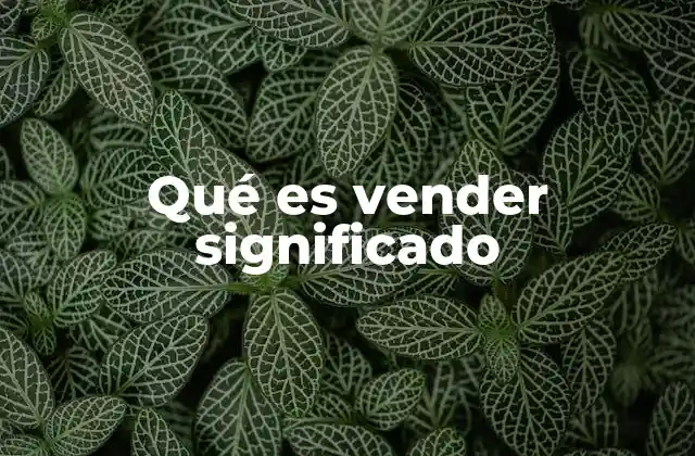 Qué es Vender Significado