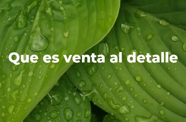 Que es Venta Al Detalle