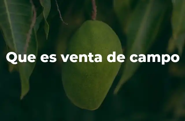 Que es Venta de Campo