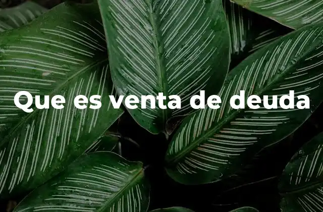 Que es Venta de Deuda