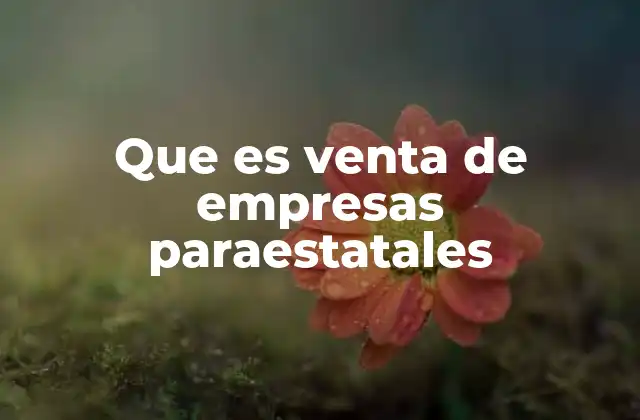 Que es Venta de Empresas Paraestatales
